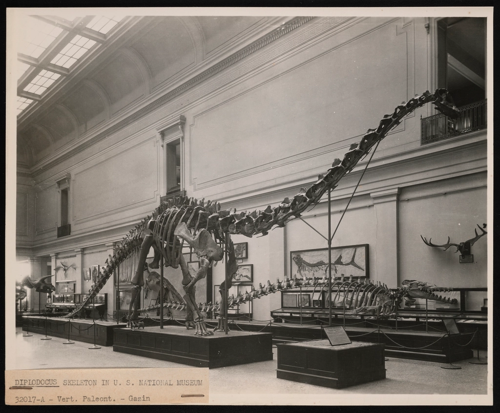 16 Prehistoric Findings Filed Away and Never Formally Published