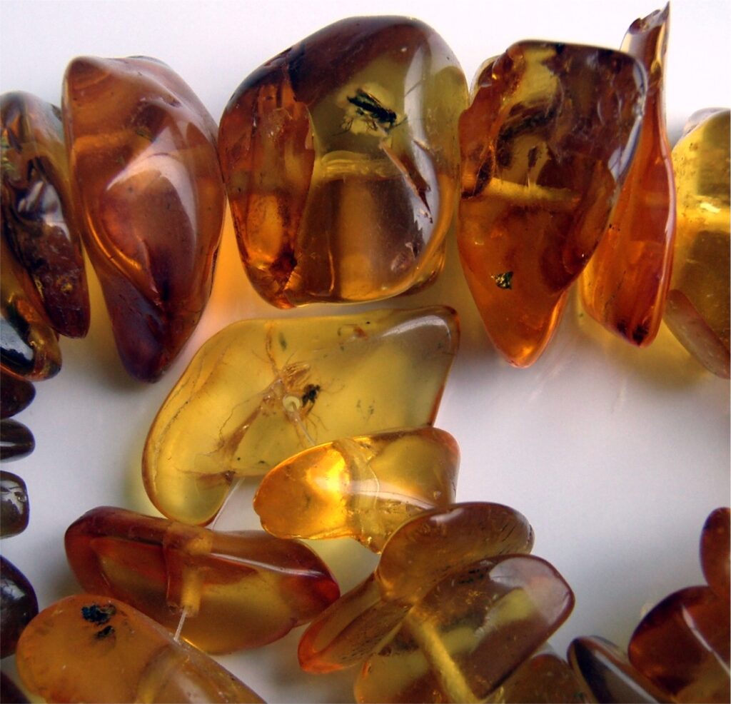 13 Amber Specimens Containing Something Nobody Can Identify