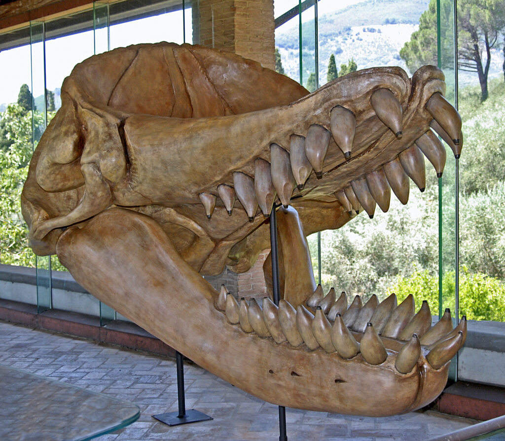 14 Sea Creatures Fossil Records Suggest Should Not Have Existed