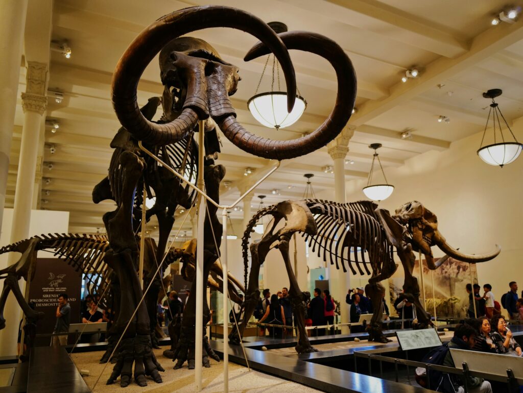 13 Giant Mammals That Vanished From America Without Any Explanation