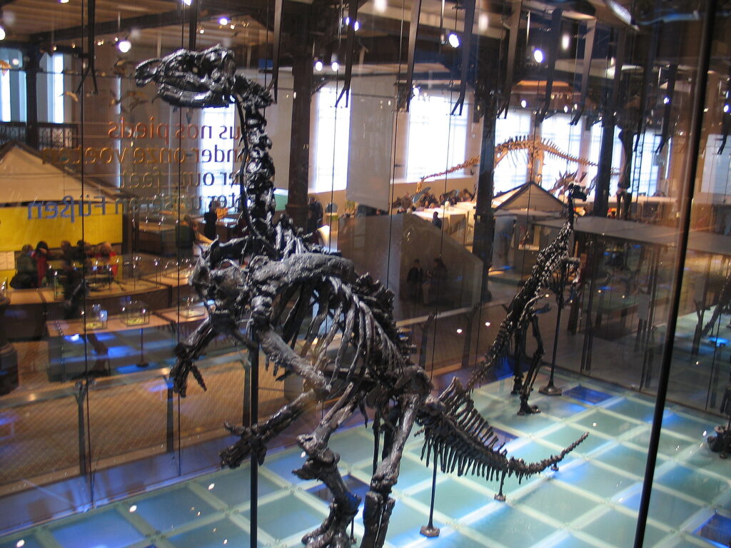 13 Exhibits Natural History Museums Quietly Corrected Without Telling Anyone