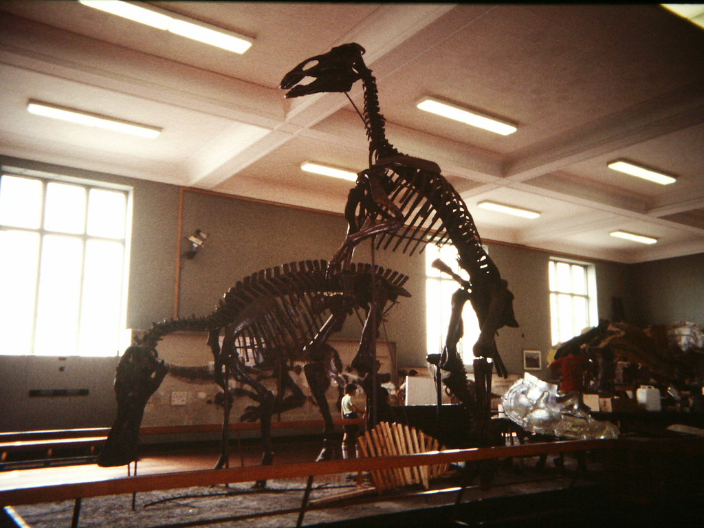 16 Dinosaur Species Researchers Now Believe Never Actually Existed