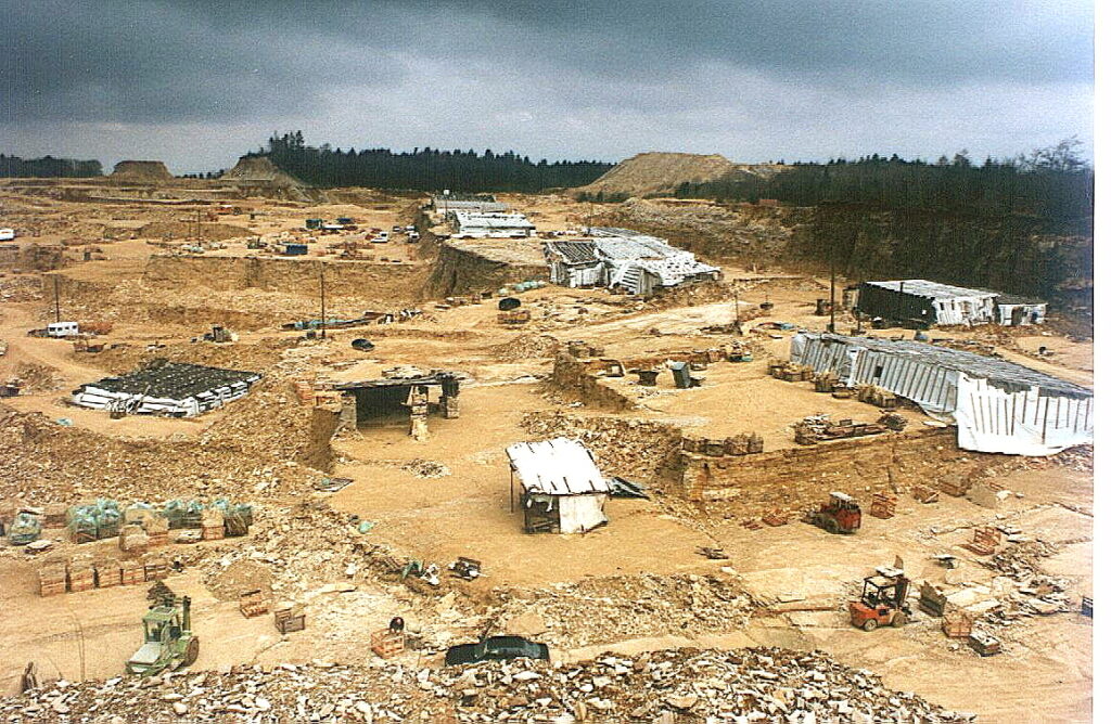 13 Fossil Sites Palaeontologists Abandoned Without Explaining Why