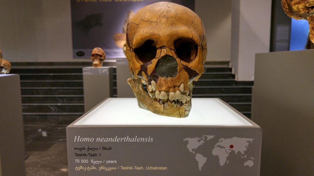 Researchers Have Found Ancient DNA From Neanderthals Inside Modern Human Genomes - Meaning Their Story Never Completely Ended