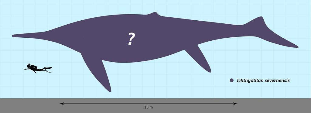 The Giant Ichthyosaur That Grew to Whale-Like Proportions Millions of Years Before Whales Existed