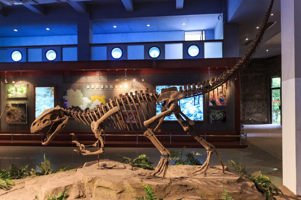 13 Dinosaur Facts Museums Have Quietly Stopped Displaying Entirely