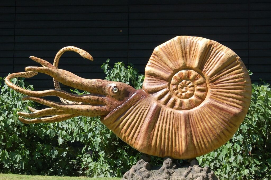 16 Fossil Casts Displayed for Decades Before Anyone Checked Them