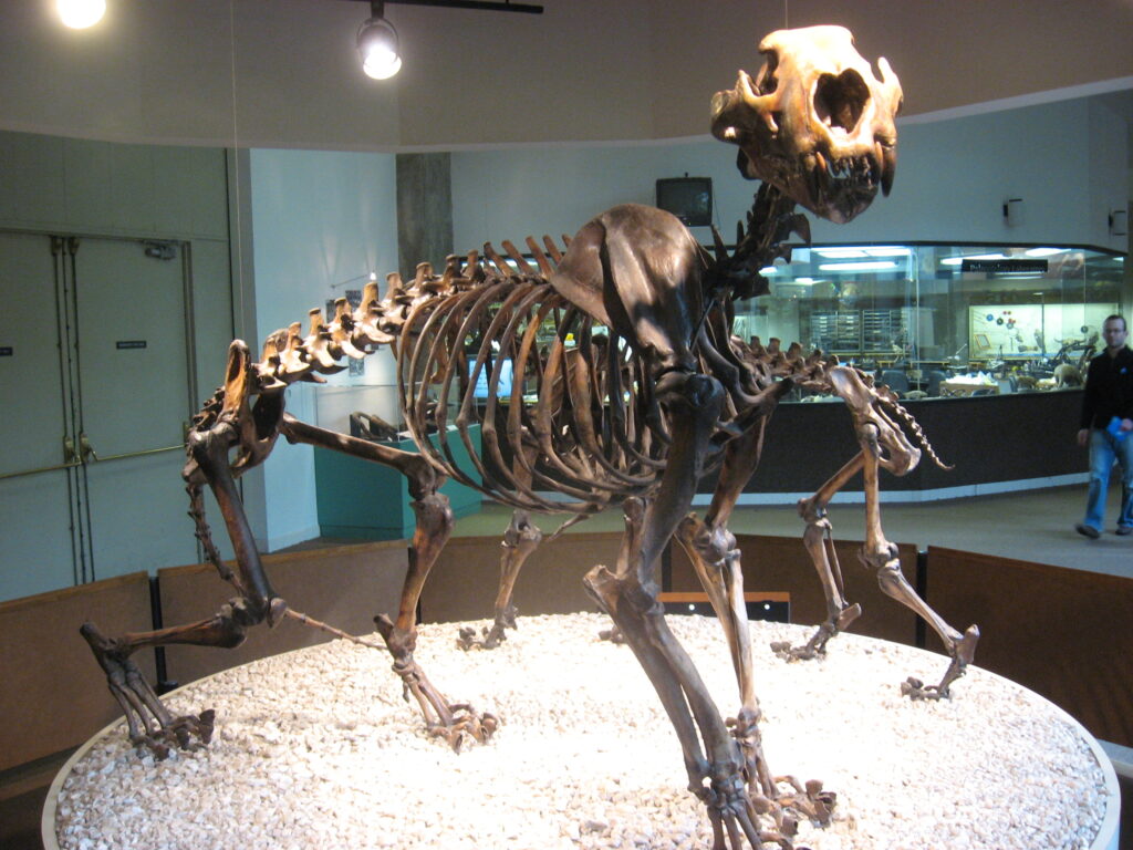 14 Ice Age Animals Museums Reconstructed Completely Wrong for Decades