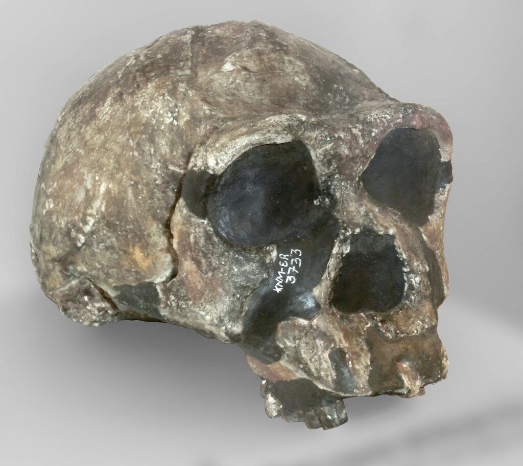14 Early Human Sites Whose Layers Appear In The Wrong Order