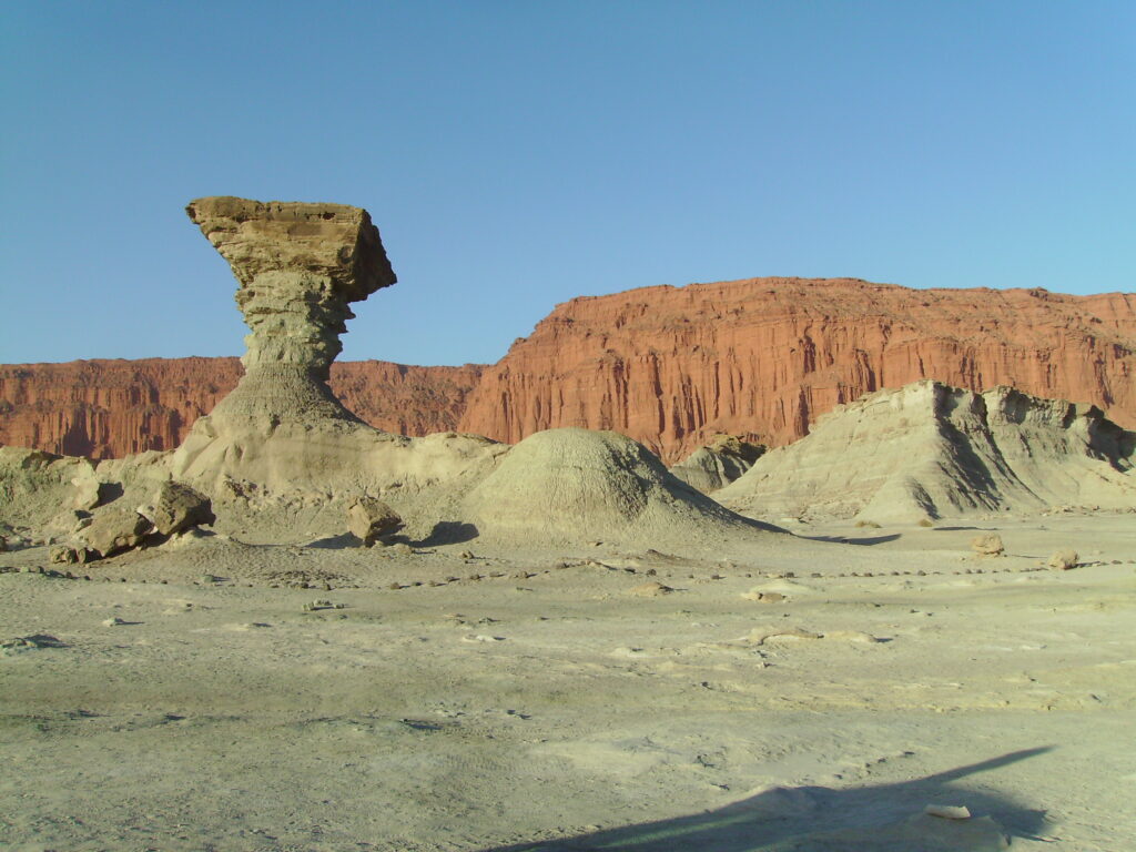 15 Fossil Beds That Contradict Everything Textbooks Currently Teach