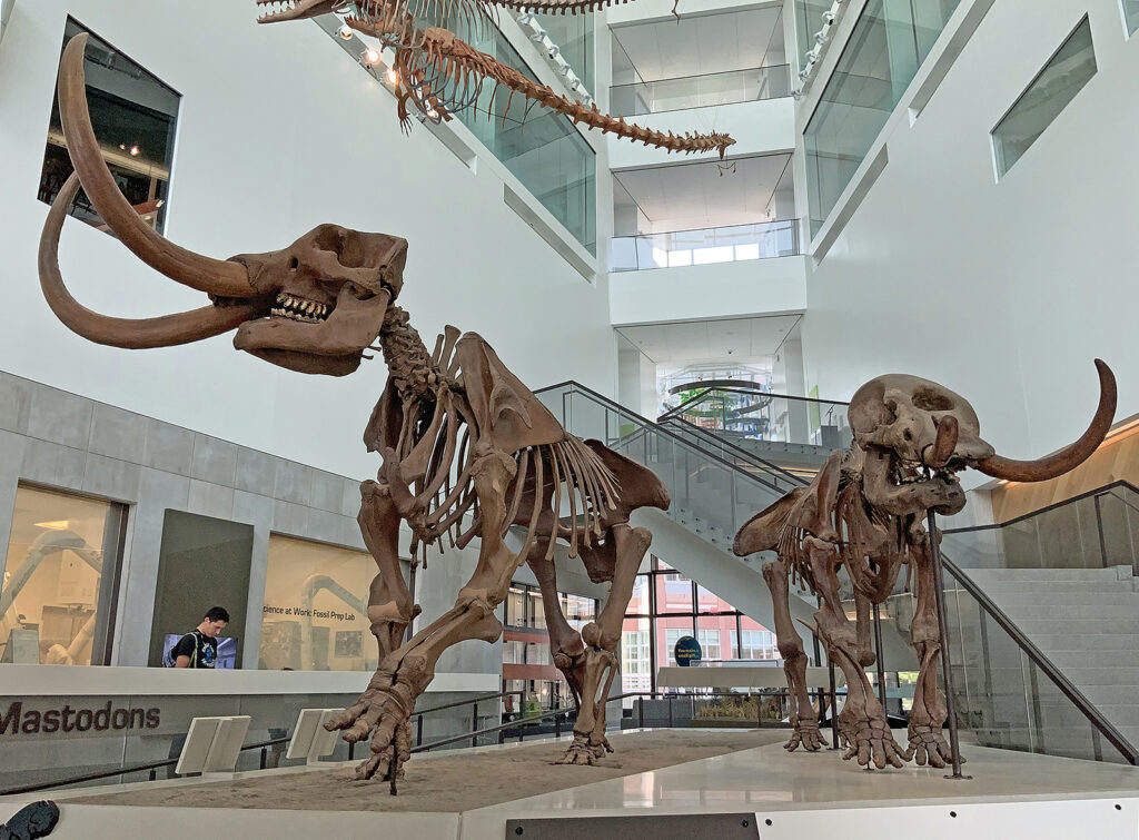 14 Ice Age Giants Whose Extinction Dates Keep Being Revised Later