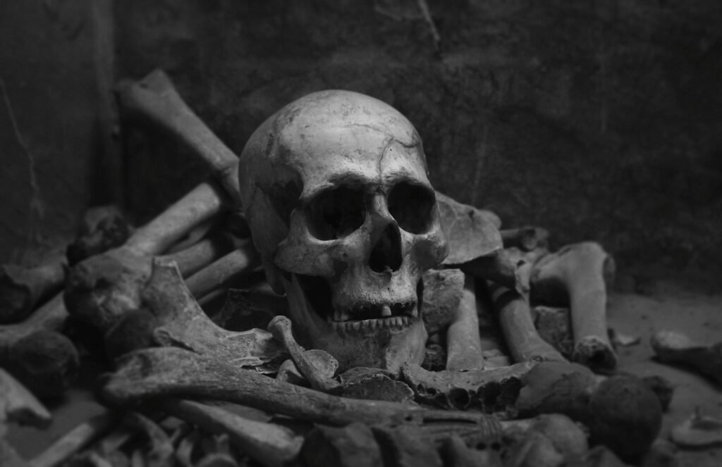 14 Bones Filed As Unidentified That Nobody Has Reopened Since