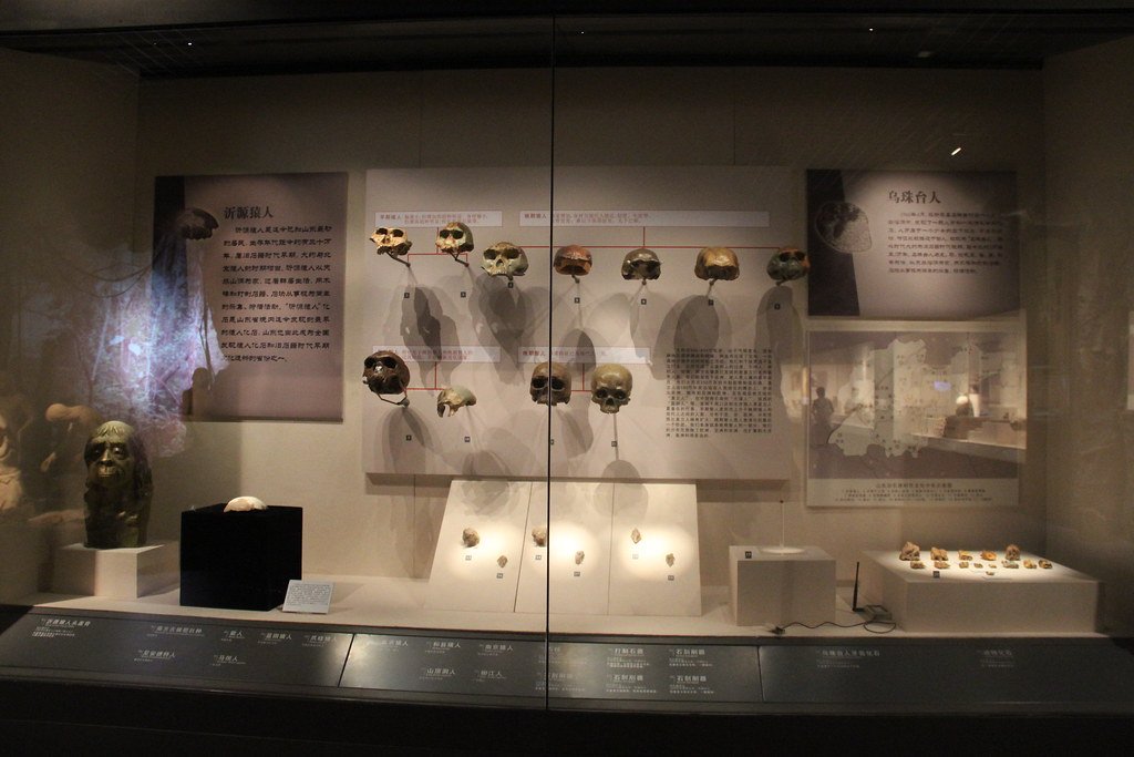 7 Ancient Human Discoveries That Made Our Family Tree Much More Complicated