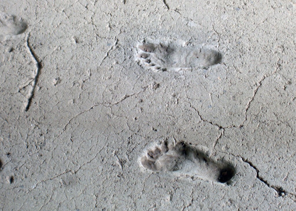 The Ancient Footprints That Let Scientists Follow a Moment in Someone's Life Thousands of Years Later