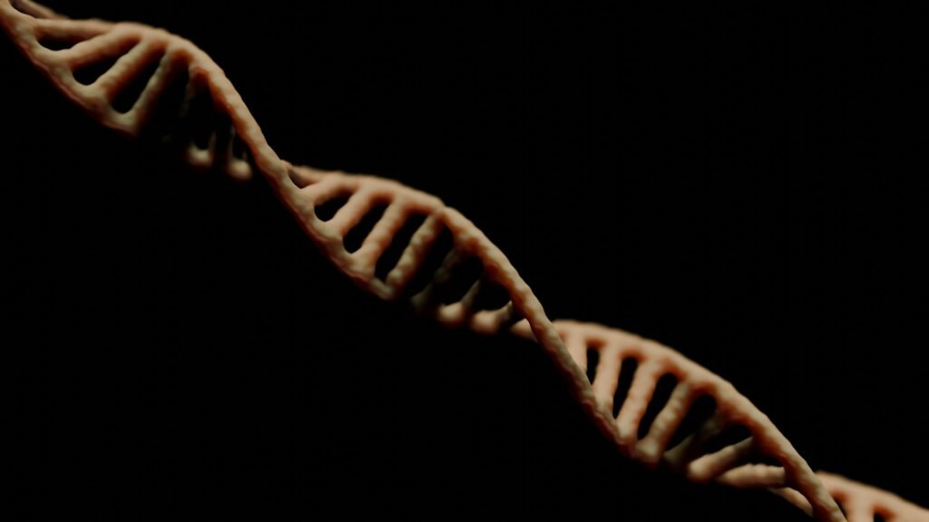The Ancient DNA Discoveries That Revealed Our Ancestors Were Meeting Other Human Groups - and Having Children With Them