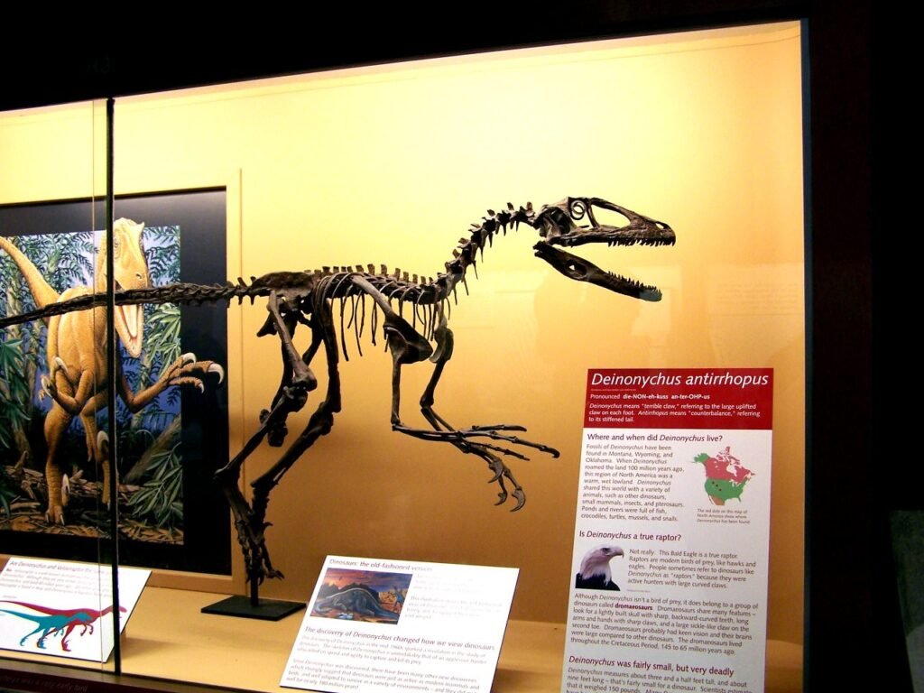 7 Dinosaur Fossils That Completely Changed What Scientists Thought They Knew