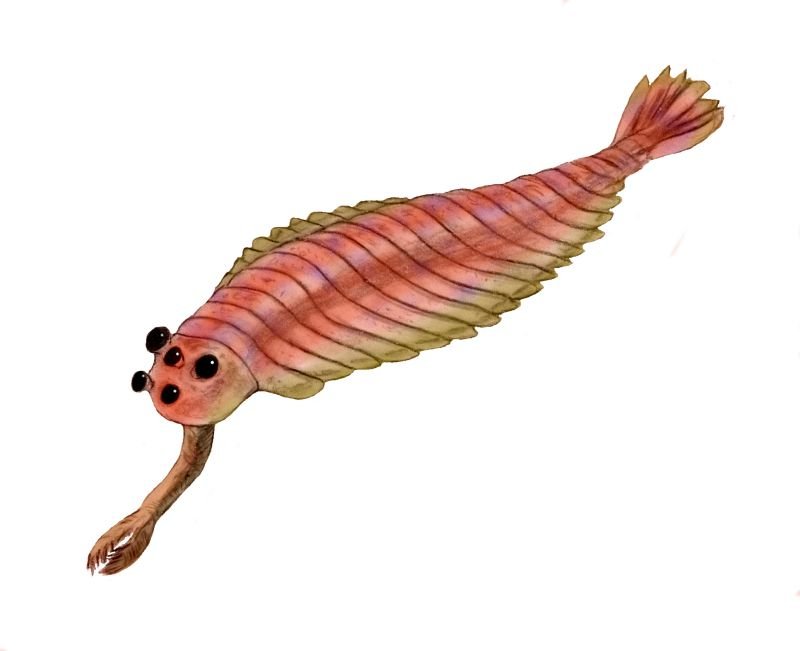 9 Prehistoric Creatures That Look Nothing Like Any Animal Alive Today