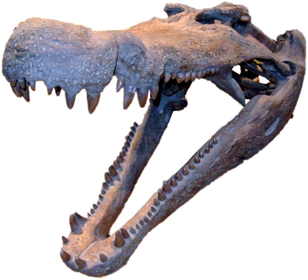 14 Lost Prehistoric Animals Science Cannot Reconstruct From What Remains