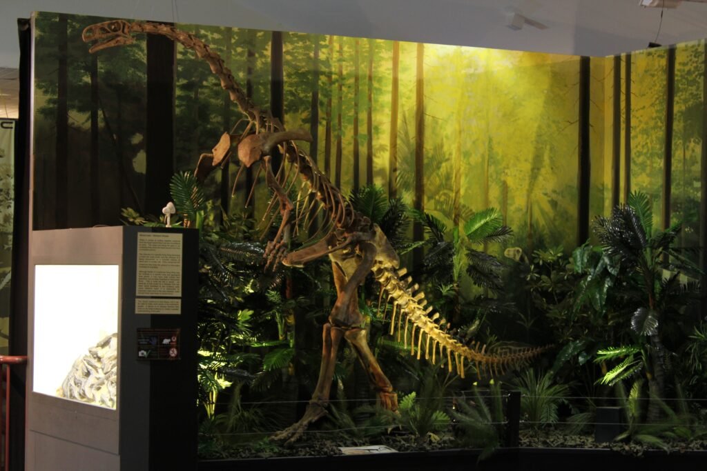14 Prehistoric Animals Museums Stopped Mentioning Once the Evidence Changed