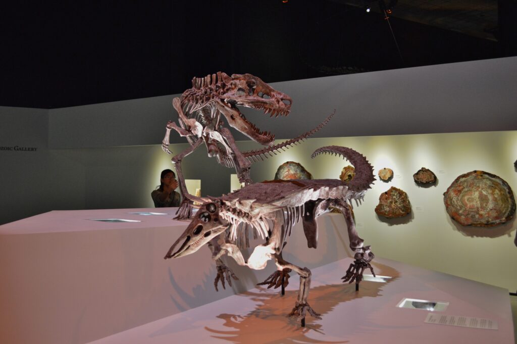 21 Things Museums Quietly Changed on Their Prehistoric Exhibits This Decade