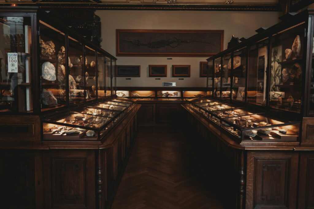 12 Famous Museum Specimens Historians Now Admit Were Quietly Faked