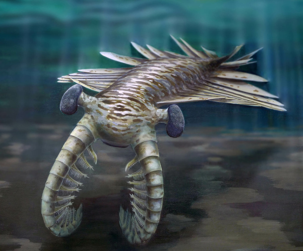 21 Prehistoric Creatures Modern Science Has Entirely Stopped Teaching