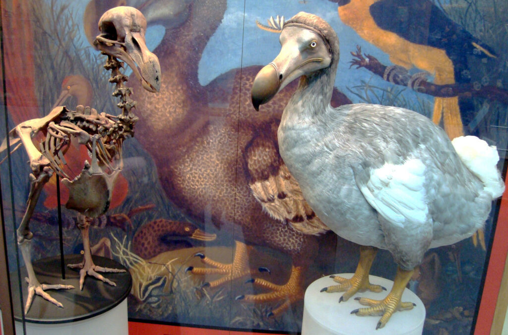 14 Famous Extinct Animals Whose Accepted Story Scientists Have Quietly Abandoned