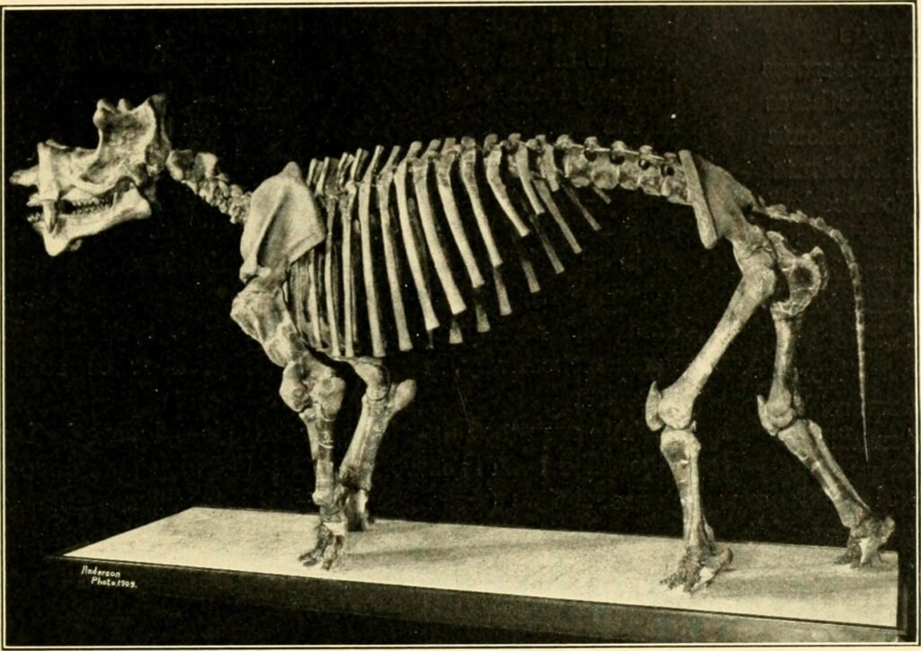 12 Extinct Creatures Whose Bones Nobody Has Ever Managed to Match