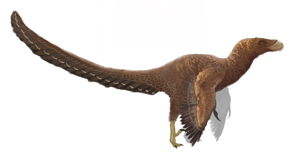 7 Dinosaurs With Names Stranger Than the Animals Themselves