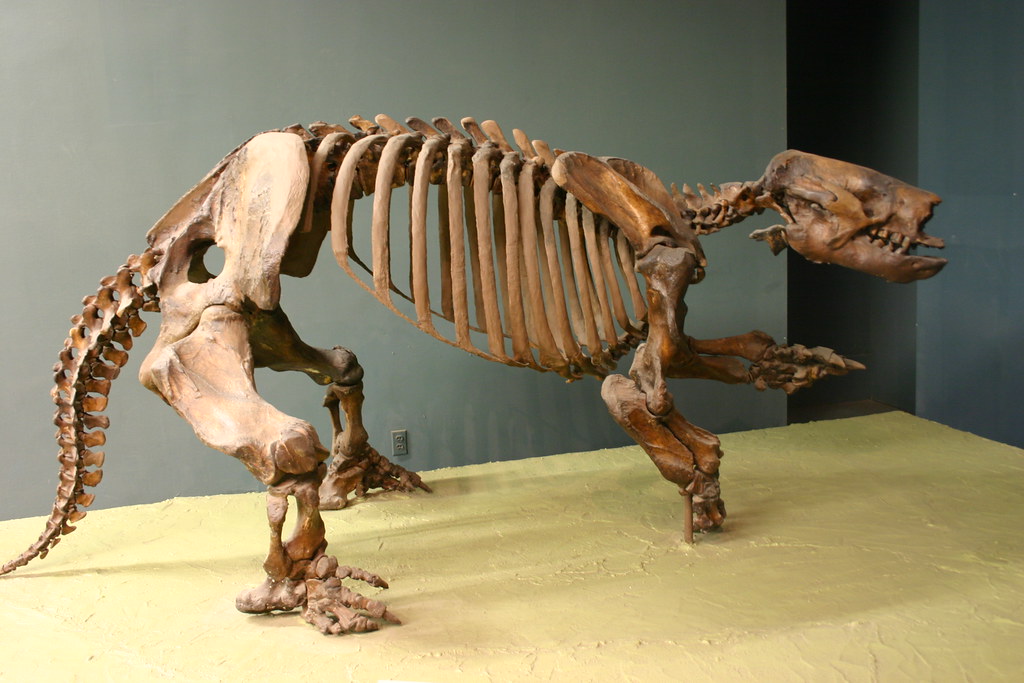 Did You Know Giant Ground Sloths Once Dug Tunnels Big Enough for Humans to Walk Through?