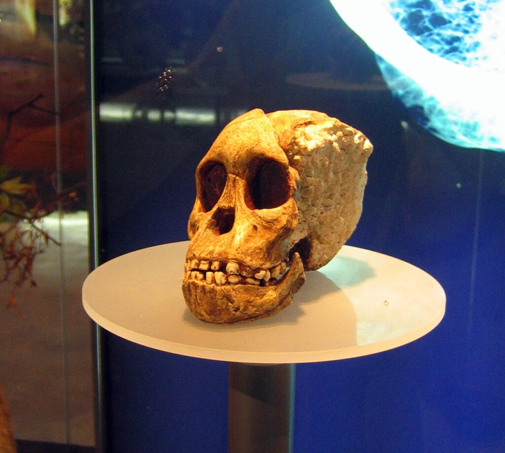 10 Prehistoric Discoveries Made by Accident That Ended Up Changing Science