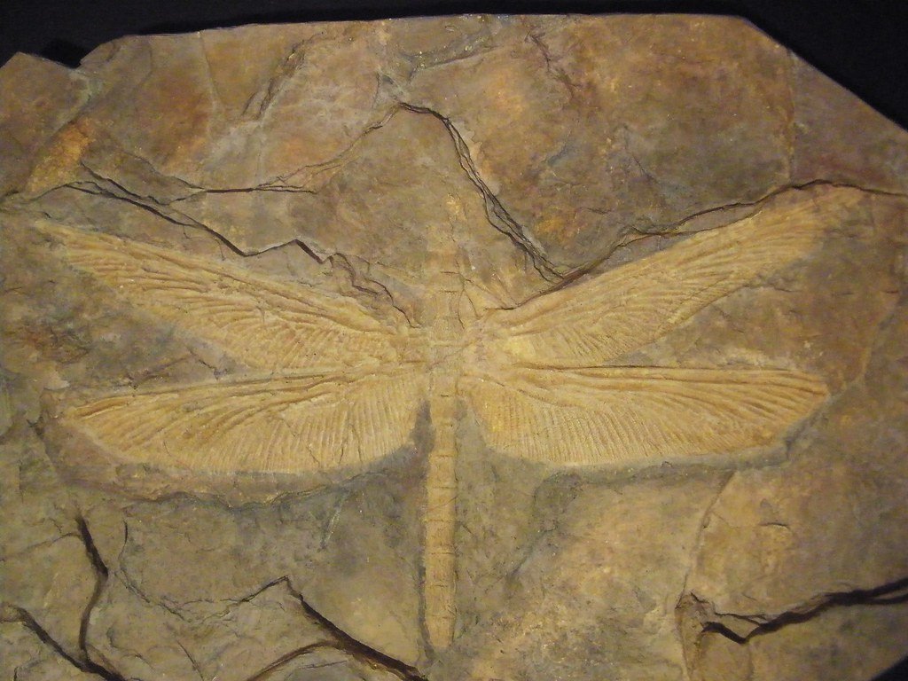 7 Ancient Predators That Ruled Earth Long Before the First Dinosaurs Appeared