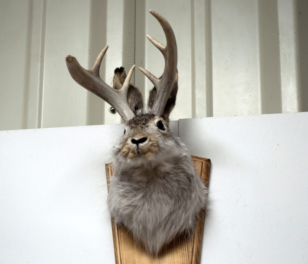 23 Famous Ancient Animal Hoaxes That Fooled the Field for Decades Before Anybody Tested Them