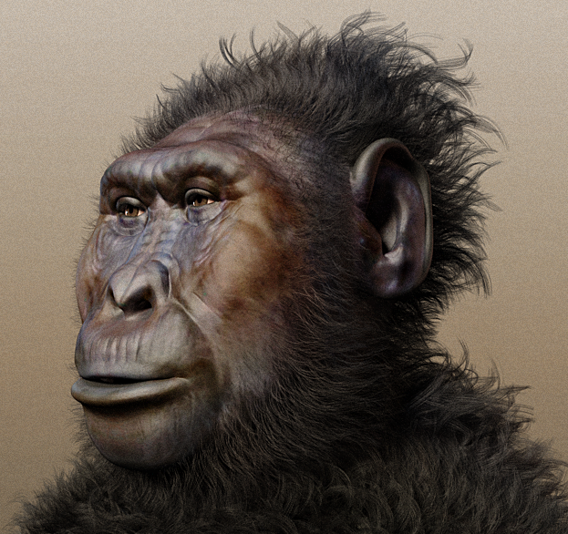 23 Early Human Ancestors Quietly Reclassified After a Single Reassessment Nobody Publicised