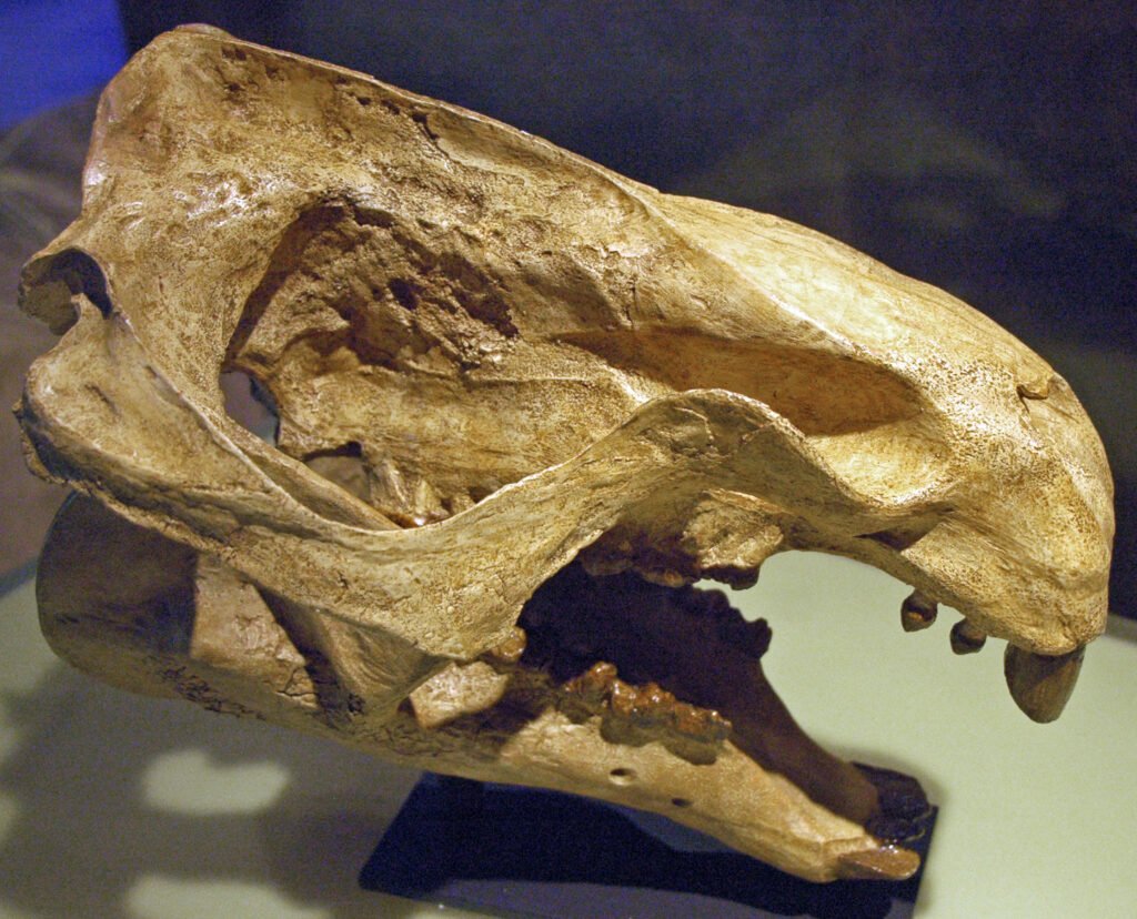 25 Celebrated Ancient Animal Finds Built to Impress and Quietly Withdrawn Once Anybody Checked