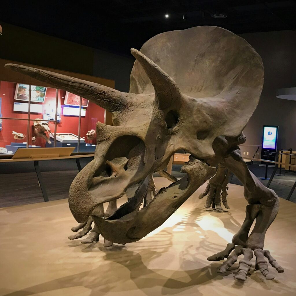 13 Celebrated Ancient Animal Finds Exposed as Outright Fabrications Long After Science Accepted Them