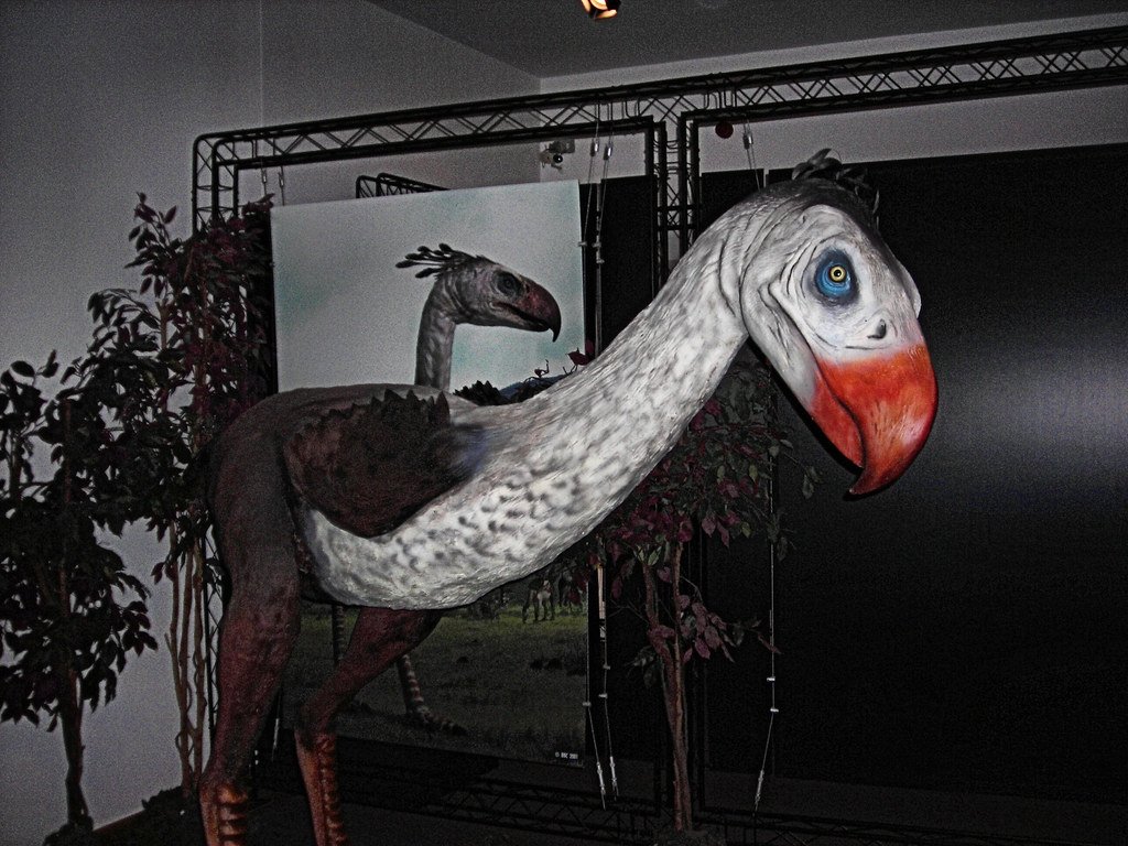 The Giant Prehistoric Bird That Couldn't Fly but Became a Formidable Land Predator