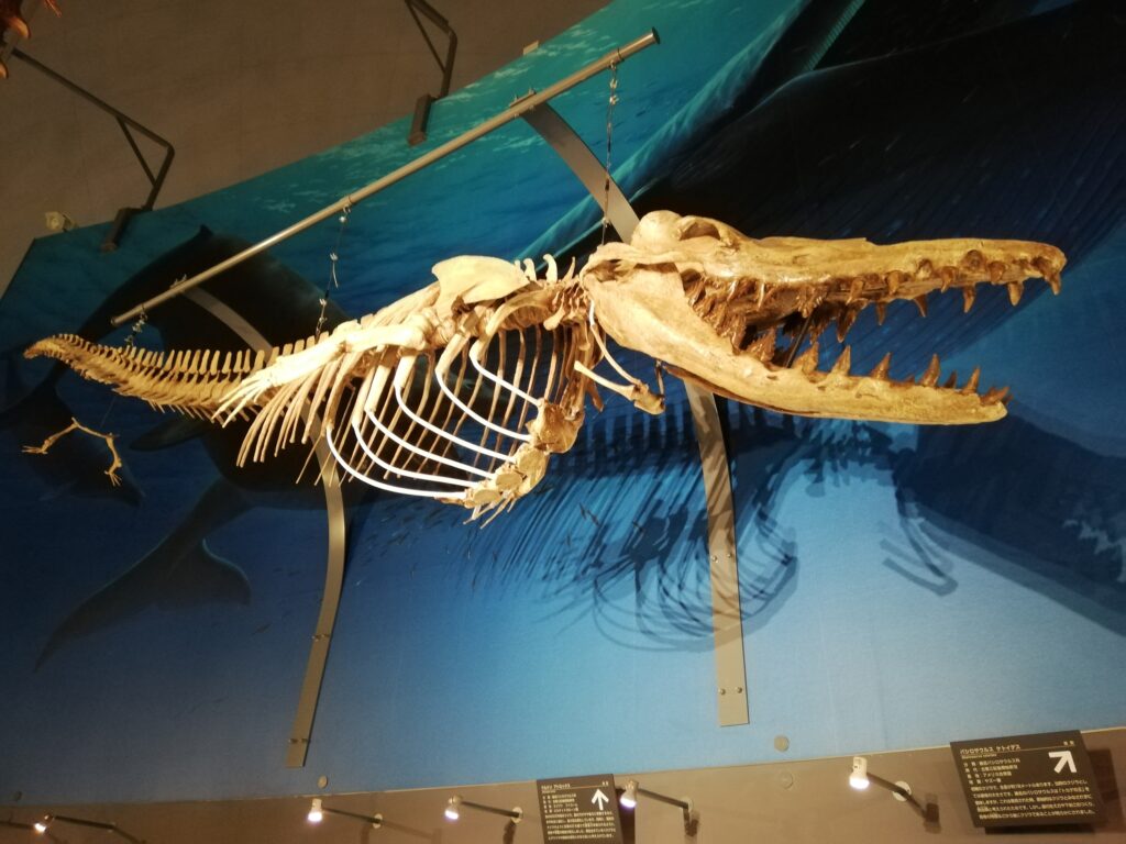 22 Celebrated Ancient Animal Finds Assembled From Unrelated Animals and Displayed for Generations