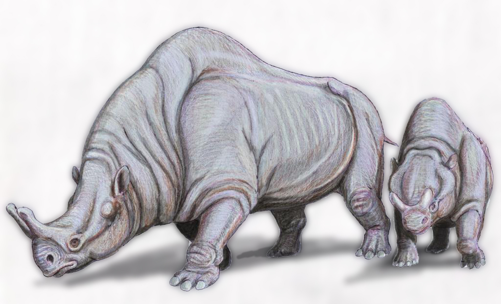 20 Extinct Animals Whose Accepted Name Science Retired Once the Original Description Stopped Holding Up