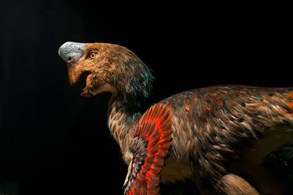 Paleontology Says Some Dinosaurs May Have Been Far More Colorful Than the Gray and Green Giants We Grew Up Imagining