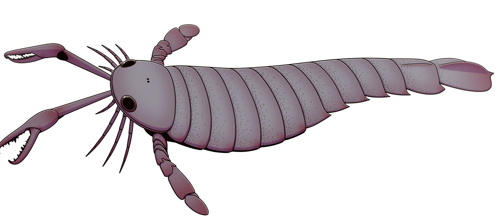 Jaekelopterus: The Giant Sea Scorpion That Dwarfed You