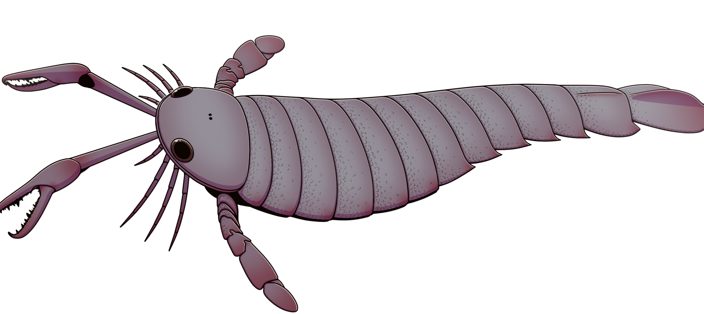 #13 - Pterygotus, the Six-Foot Sea Scorpion Barely Anyone Names 