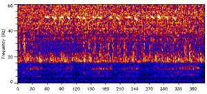 #8 - The 52-Hertz Whale: A Voice With No Matching Species