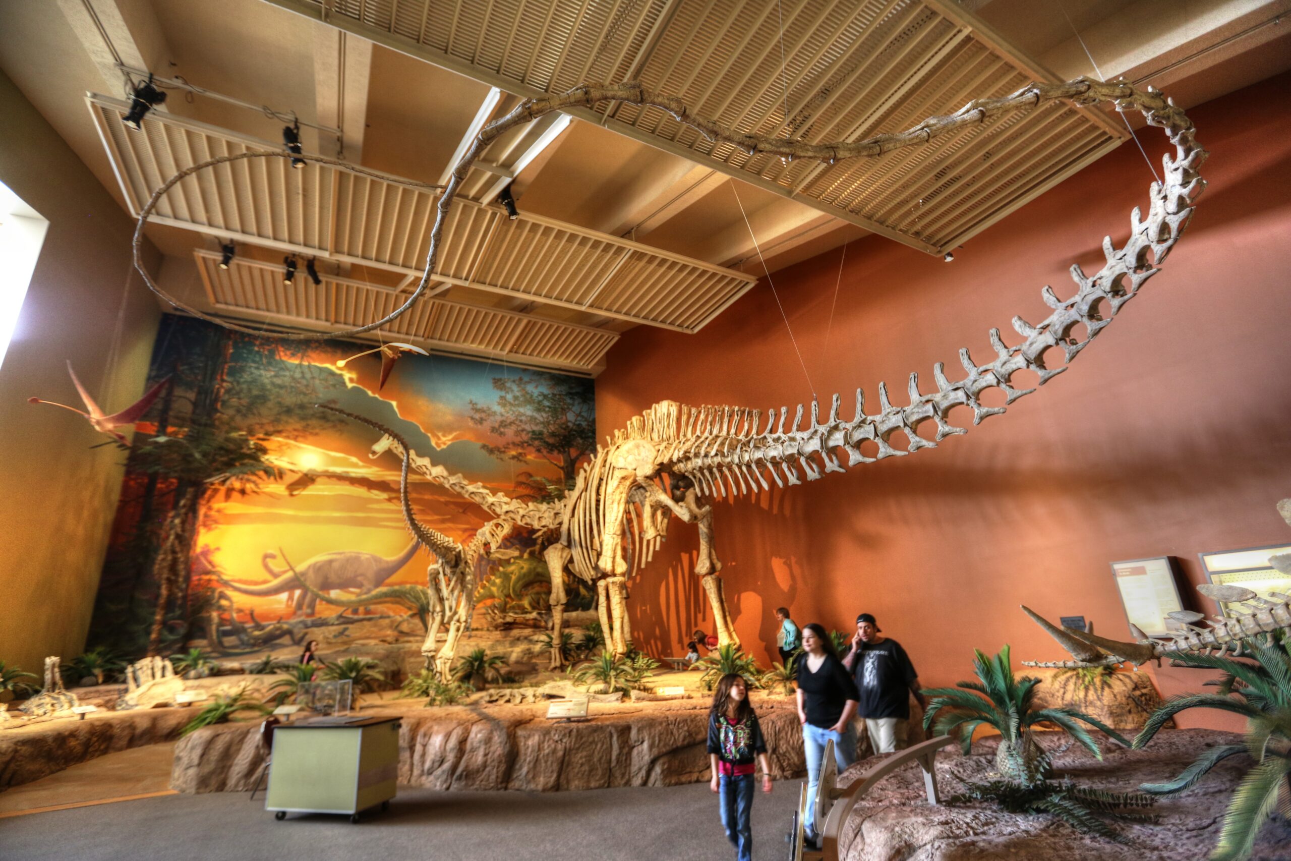 #6 - Seismosaurus hallorum