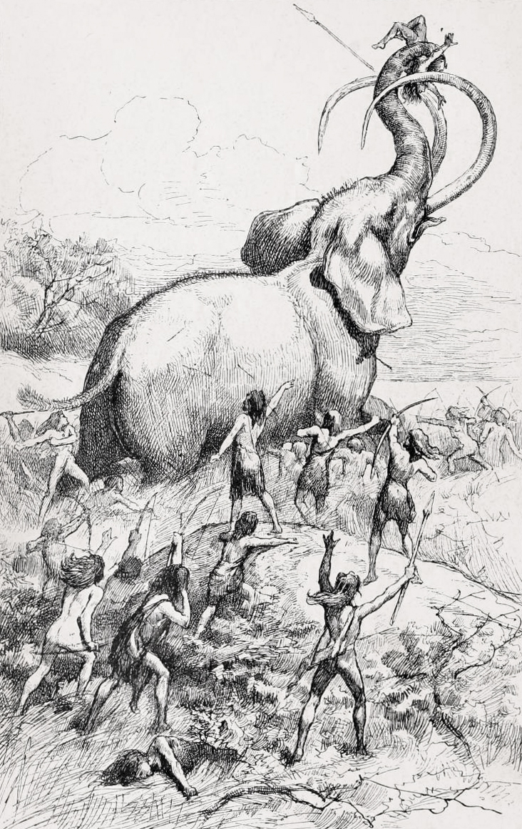 #4: Whole Elephants and Mammoths, Fat Included