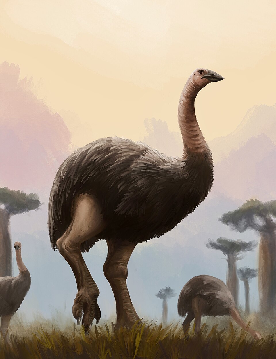 #14 - The Elephant Bird's Extinction Timeline Keeps Getting Rewritten