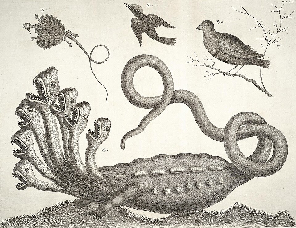 #8 - The Multi-Headed Hydra That Even Linnaeus Had to Debunk