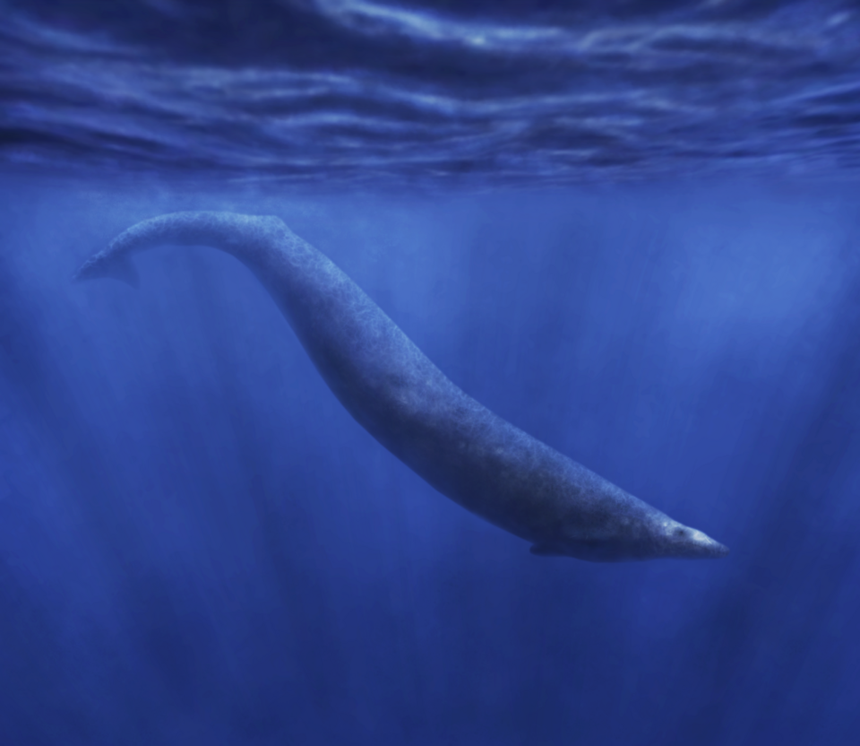 #18 - Basilosaurus, the "Sea Serpent" That Was Never a Reptile