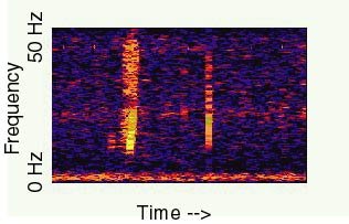 #1 - Bloop: The Sound That Started It All