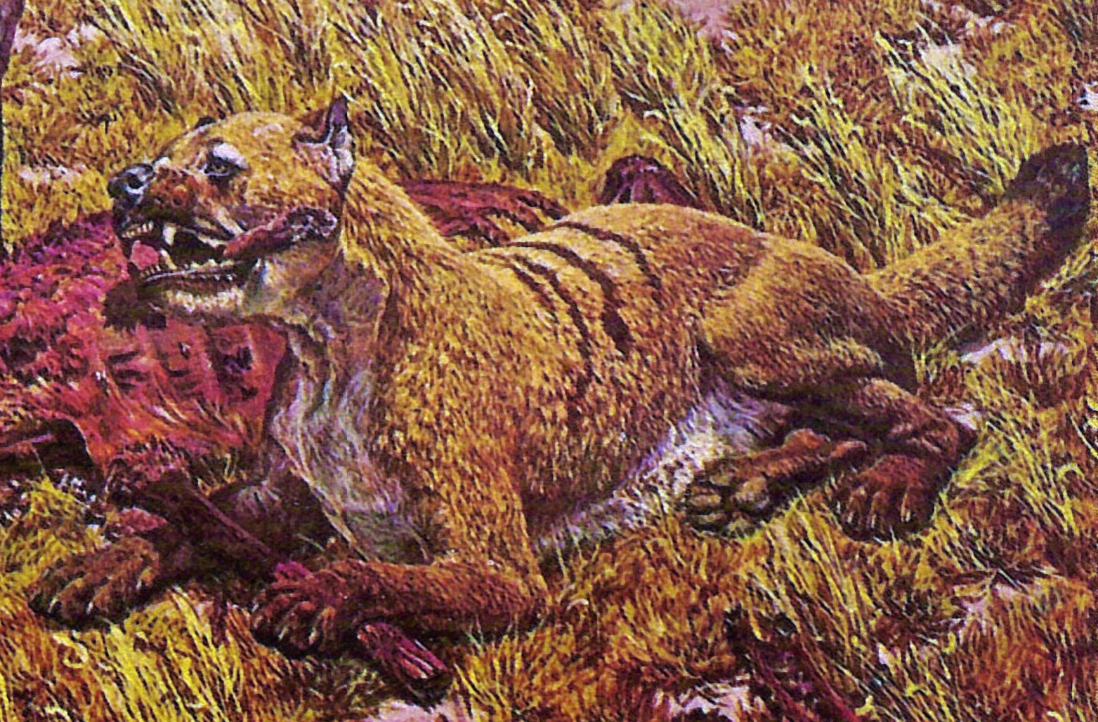 American Lion-Sized Hyena-Like Dogs – The Bone-Crushing Canids